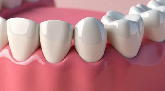 couronne-ce-petit-detail-qui-joue-un-grand-role-dans-l-ajustement